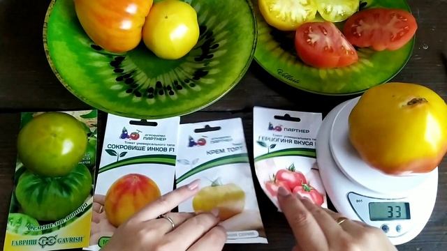 Честный обзор томатов:Сокровища инков,герцогиня вкуса,крем-торт(семена Партнер) любо-зелено(Гавриш) смотреть онлайн