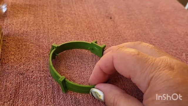 Адиантум Румора. Папоротник вариегатный. 18.09.2023.