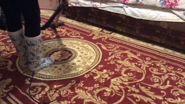 ОГОНЬ В ПЕЧИ //НАС УЖЕ 1000 смотреть онлайн