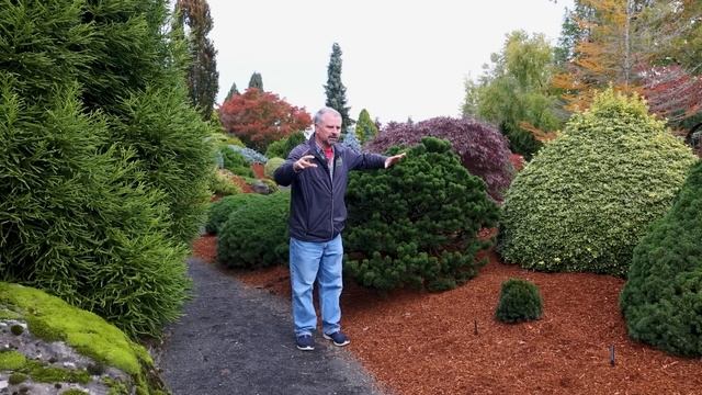 November Garden Checklist at Iseli Nursery смотреть онлайн