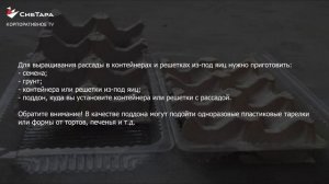 Выращиваем рассаду в контейнерах или решетках из под яиц