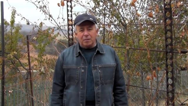 @Заготовка черенков винограда. Сроки заготовки смотреть онлайн