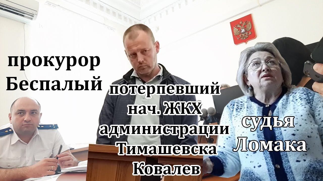 #14. Потерпевший Ковалев совсем заврался. 31.05.2022 Суд Шамардина и Андреева 158 УК. Тимашевск смотреть онлайн