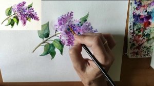Как нарисовать сирень акварелью. Мастер-класс // Short watercolor painting tutorial: lilac