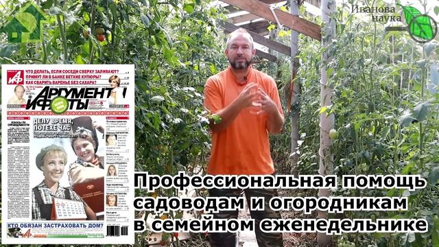 ЧИСТОСОРТНЫЕ СЕМЕНА СВОЕГО СБОРА. Из этого плода перца - только качественные семена! смотреть онлайн