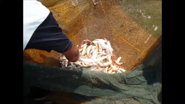 is vakantie op Lombok. смотреть онлайн