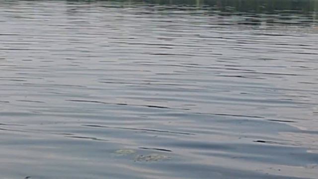 Днепр. И снова пляж!!! 06.07.2022. смотреть онлайн