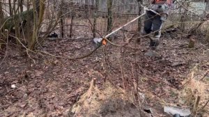 Работа кустореза Штиль ФС 460 С-ЕМ по уборке кустов / Stihl FS 460 C-EM with WoodCut blade (225 mm)