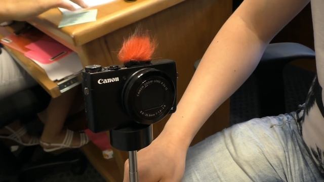 США 3152: Школа Портнова - попугайная камера смотреть онлайн