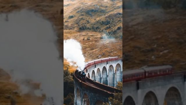 стереть память о Гарри Поттере?я делала это видео час#гаррипоттер #хогвартс #грифиндор #слизерин смотреть онлайн