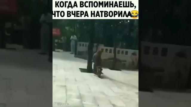ObezyanaHD.mp4 смотреть онлайн