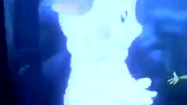 Лунный сон смотреть онлайн