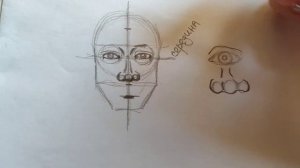 Как научиться рисовать лицо ❔| Как нарисовать портрет ❔|Пропорции часть 1