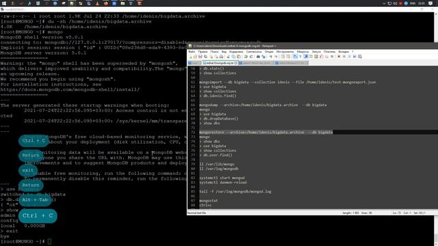 mongodump & mongorestore | MongoDB смотреть онлайн