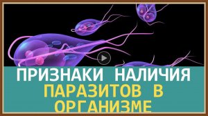 ДИАГНОСТИКА И ПРИЗНАКИ НАЛИЧИЯ ПАРАЗИТОВ В ОРГАНИЗМЕ ЧЕЛОВЕКА.mp4