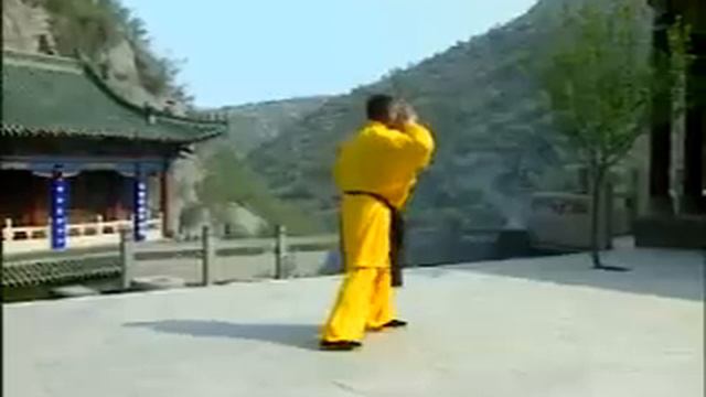 Shaolin 6 Harmony (Liu He) Gong - 少林六合功 смотреть онлайн