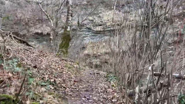 ГЕЛЕНДЖИК ВОДОПАД ЛЮБВИ ИЛИ ШНУРОК смотреть онлайн