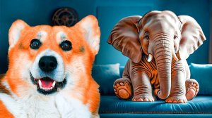 МЫ КУПИЛИ СЛОНА! У НАС НОВЫЙ ПИТОМЕЦ!! Корги Кекс Говорящая собака