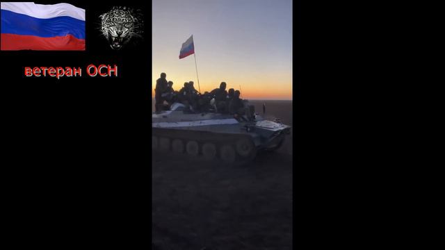 The best job in the world! Лучшая работа в мире! смотреть онлайн