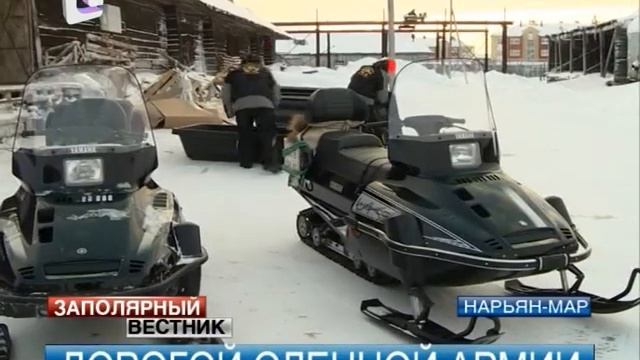 Дорогой оленной армии пройдут нарьян-марские путешественники смотреть онлайн