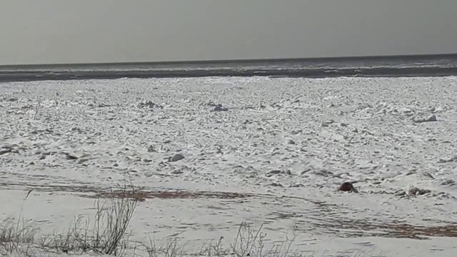 Ритуал - онлайн от врагов.  К Ра.  Перекид крадника.