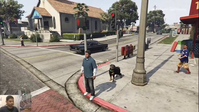 Taking Chop For A Walk || GTA V смотреть онлайн