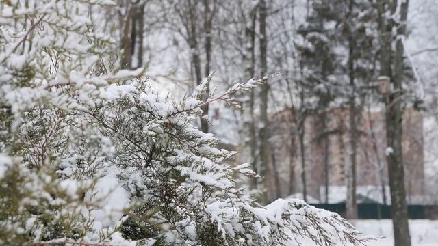 «Кормушки для птиц». Экологическая акция смотреть онлайн