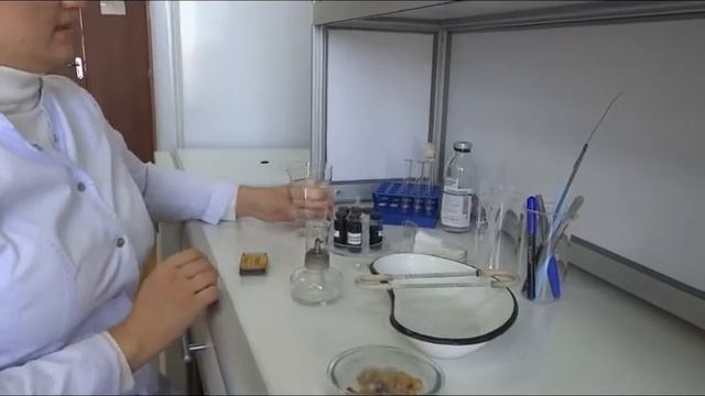 Мастер-класс по приготовлению микропрепаратов и экскурсия по кабинету микробиологии смотреть онлайн