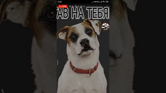 КАК ДЕЛАТЬ СТИКЕРЫ ДЛЯ WHATSAPP!!! ПРОДОЛЖЕНИЕ смотреть онлайн