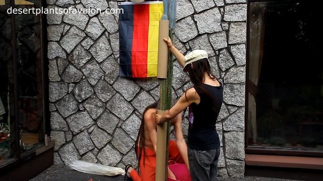 Re Potting a VERY tall PILOSOCEREUS Cactus Plant смотреть онлайн