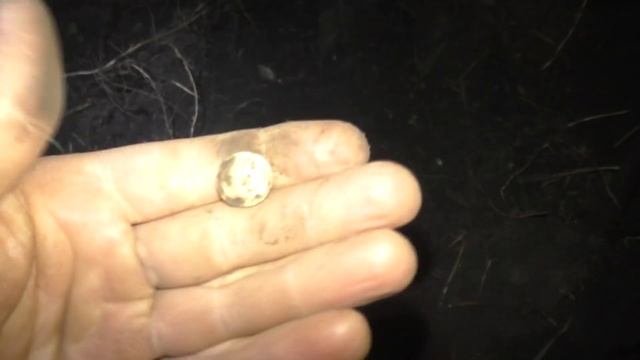 НАХОДКИ ПОРАДОВАЛИ!!!!ПЕРВЫЕ НАХОДКИ С НОВЫМ ПРИБОРОМ !!!КОП С МЕТАЛЛОИСКАТЕЛЕМ NOKTA MAKRO LEGEND. смотреть онлайн