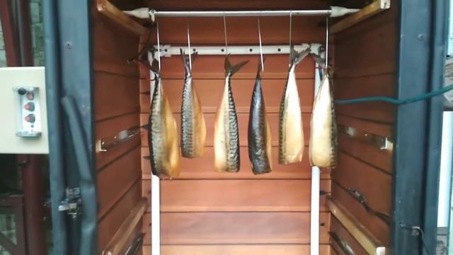 ЭЛЕКТРОСТАТИЧЕСКОЕ КОПЧЕНИЕ ЛИДИРУЕТ смотреть онлайн