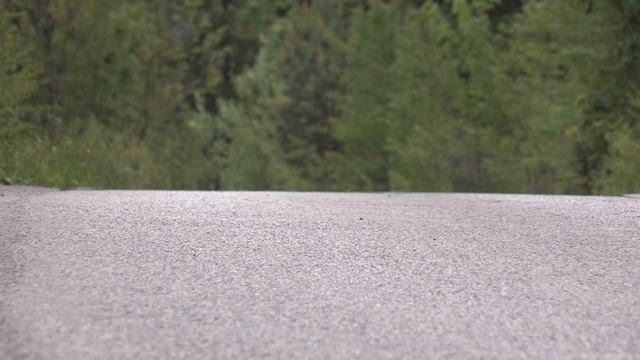 Toyota corolla hybrid sport - 2019 - test nove generacije смотреть онлайн