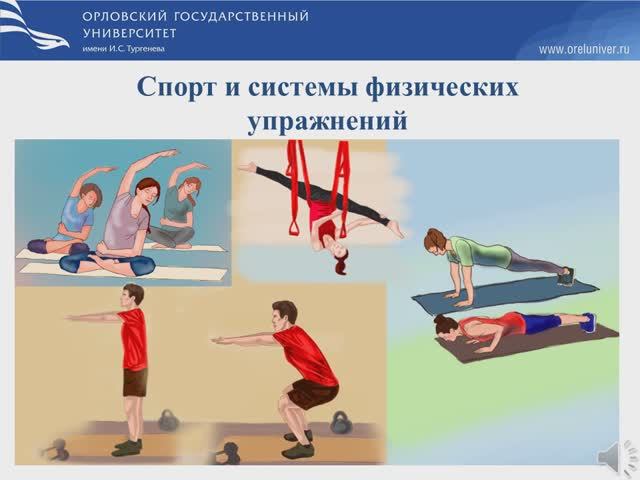 Системы физических упражнений