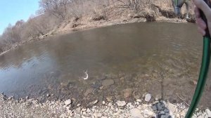 17апреля 2022. Рыбалка в приморском крае. Весенний ленок  на поплавочную удочку.