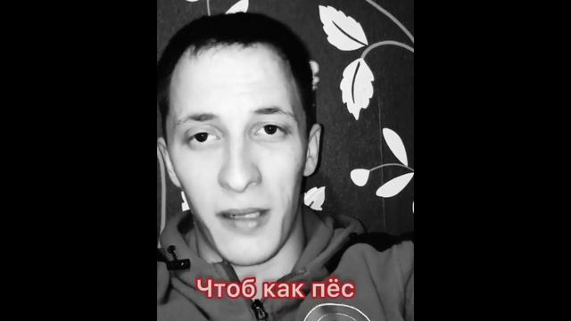 Отчего так предан пёс... | Автор стихотворения: Валентин Гафт смотреть онлайн