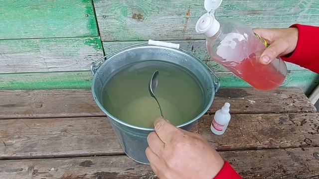 Как избавиться от тли подручными средствами. смотреть онлайн