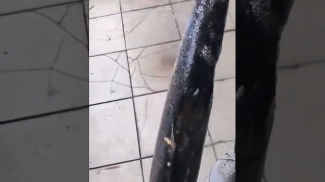 Рыба КЕТА! кг-450
Потрашеная с головой
Рыбки от 2-4кг
Пилим на Стейки
Бесплатная доставка. ikra70.r смотреть онлайн