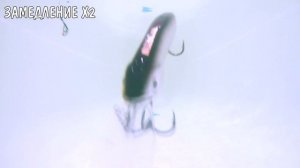 Воблеры для Троллинга с АлиЭкспресс | На судака и щуку | Pontoon 21 Moby Dick 120F копия от AllBlue