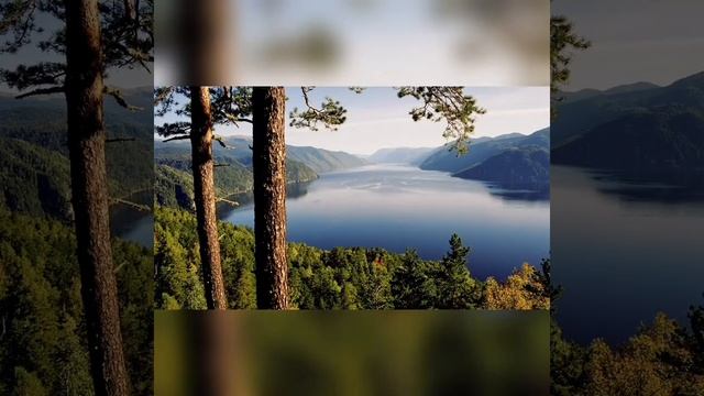 11 ЯНВАРЯ - ДЕНЬ ЗАПОВЕДНИКОВ И НАЦИОНАЛЬНЫХ ПАРКОВ смотреть онлайн