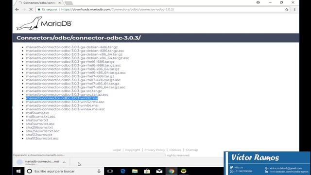 03 Instalar el odbc driver de MariaDB смотреть онлайн