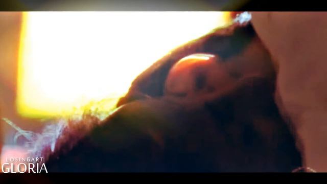 Norma & Léo | ... two against the world смотреть онлайн