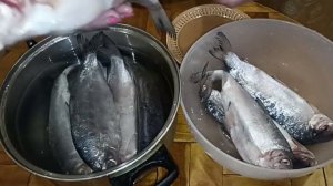 Пелядь вяленая