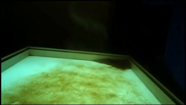 Ой ходить сон.     муз. супровід - Gypsy Lyre, анімація - Золотий Лев