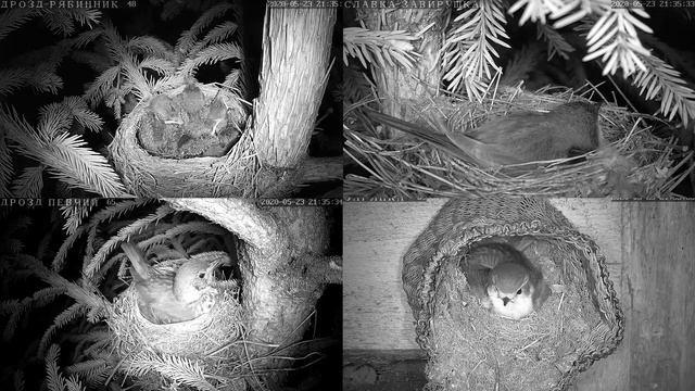 Онлайн-трансляция - 2020. Часть-2 23.05.2020 г. . город Калуга. смотреть онлайн