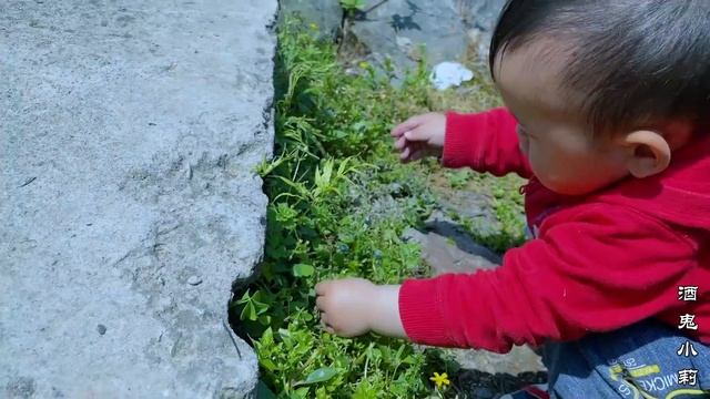 孵小鸡第12天，孵化机坏了，怎么办？ смотреть онлайн