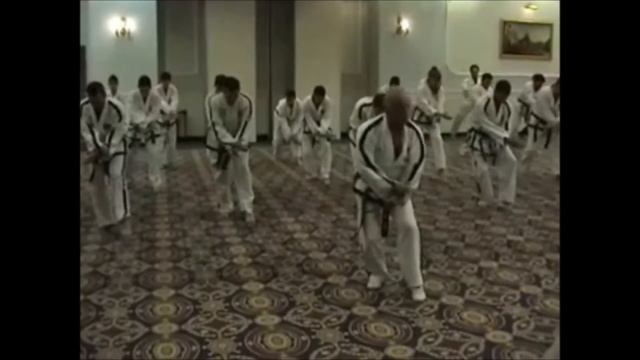 Master Alexandris Vasilis, Taekwon-do ITF Self Defense Seminar смотреть онлайн