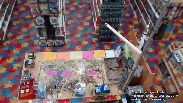 Day 233 January 21, 2015 - "Wildlife" 33600 pc World's Largest Jigsaw Puzzle смотреть онлайн