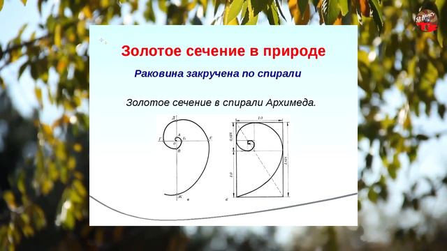 4 02,Золотое сечение, Нео Фициал смотреть онлайн