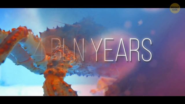 Ancient Planet Hides Inside Earth for 4 Billion Years смотреть онлайн